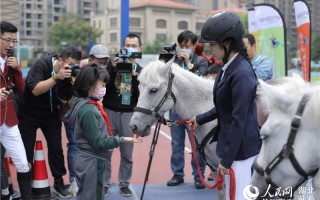 骑马短视频剪辑模板，骑马短视频剪辑模板下载