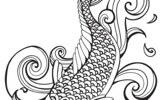 锦鲤短视频剪辑，锦鲤短视频剪辑教程